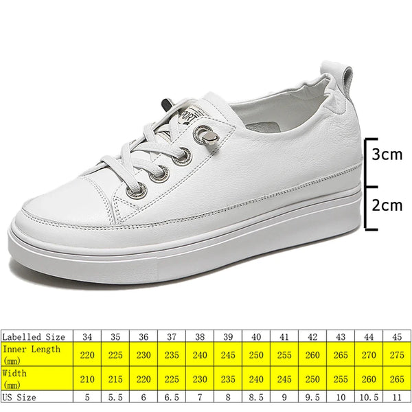 Designer Sneakers White